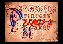 プリンセスメーカー