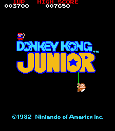 Donkey Kong Junior
