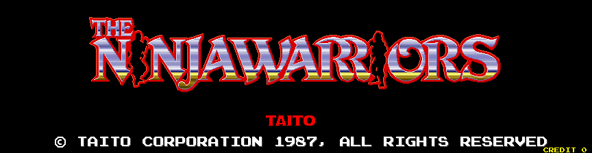 The Ninja Warriors