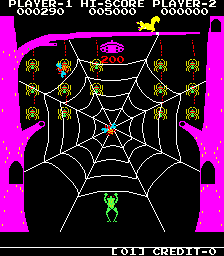 Frog & Spiders