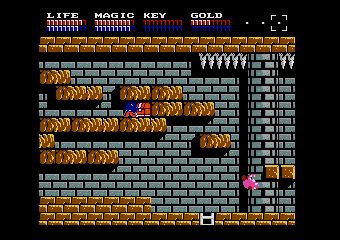 DragonSlayer IV -DRASLEFAMILY-