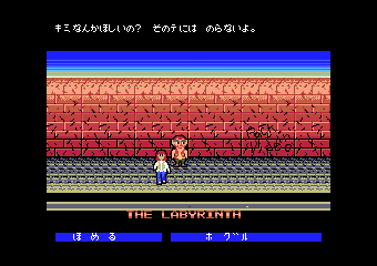 Labyrinth: Maou no Meikyuu