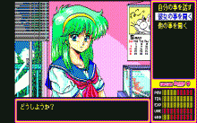 きゃんきゃんバニー