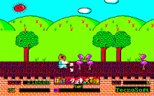 ばってんタヌキの大冒険