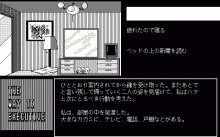 エグゼクティブへの道