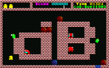 キングフラッピー