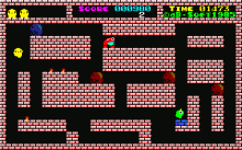 キングフラッピー