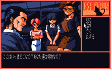 グラムキャッツ