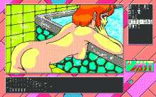 コスモスクラブ