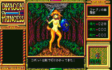 ドラゴンプリンセス -迷宮の魔導師-