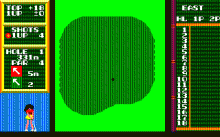 ホールインワン