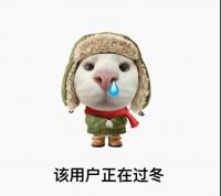 ロリータ・シンドローム