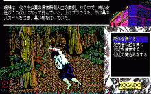 原宿アフターダーク