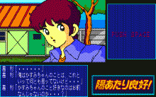 陽あたり良好！